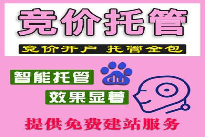 SEM推广优化实战案例：策略与技巧